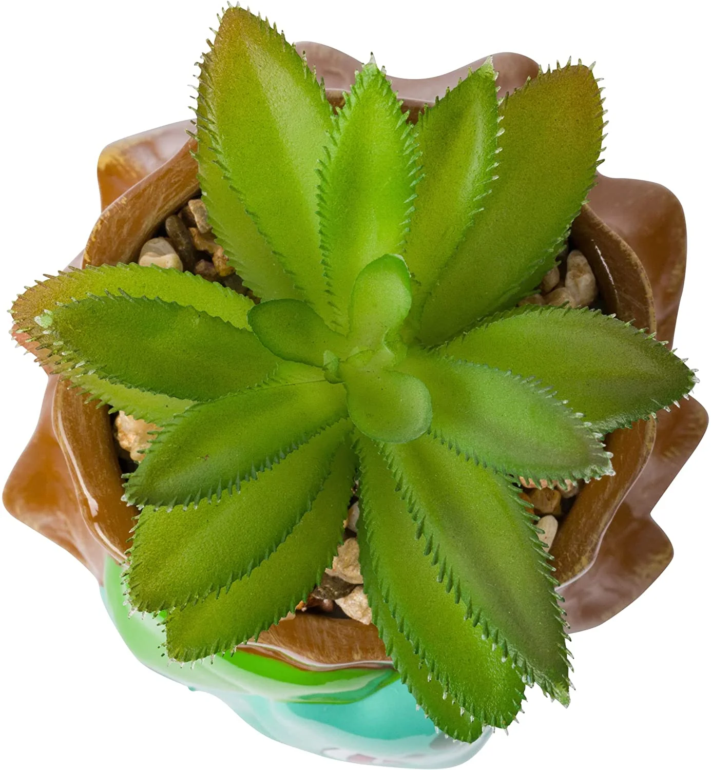 Imagen del producto 4
